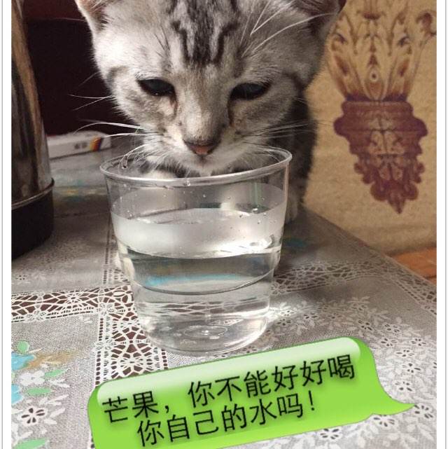 制作假的石油化工造价资格证书